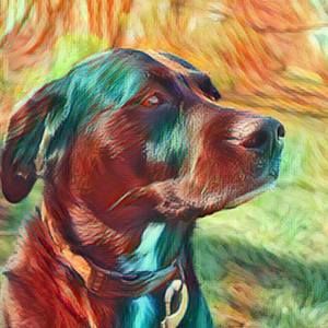 Meet your Posher, Nicholas